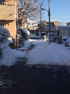 201801雪写真2.jpg