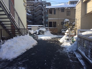 201801雪写真3.jpg