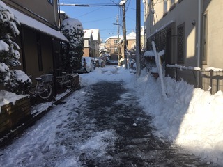 201801雪写真4.JPG