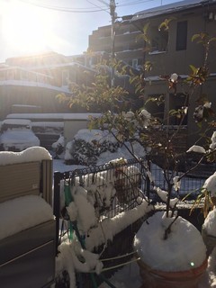 201801雪写真1.jpg